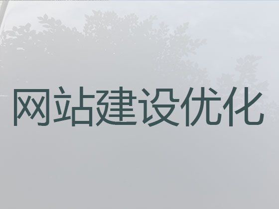 南平市网站开发本地公司|搜索引擎优化，多年专业建站经验