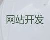 益阳市网站开发设计|购物网站设计开发，模板建站