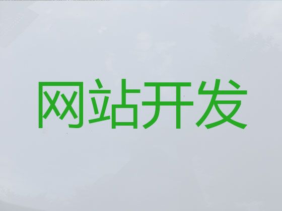 江门市网站定制开发公司|购物网站开发建设，优秀设计团队