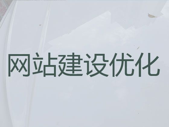 新疆网站建设本地公司|购物网站开发建设，服务可靠