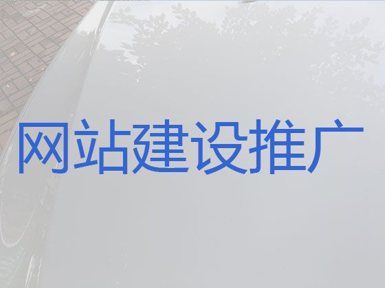 沧州市网站设计本地公司|定制化网站开发，专业建站