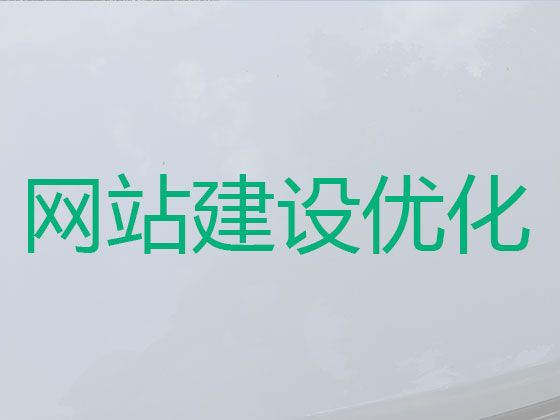 六安市商城网站开发|网络推广，定制开发