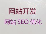 东莞市网站优化推广公司|SEO网络推广，专业开发团队