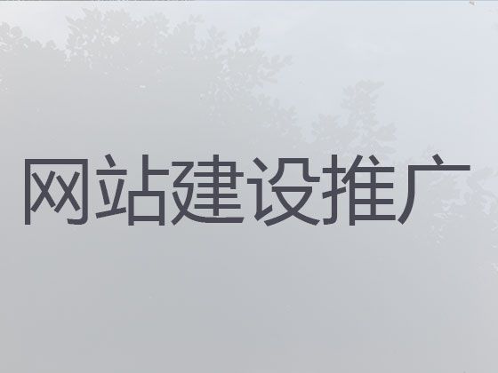 秦皇岛市网站设计正规公司|软件系统开发，小程序开发